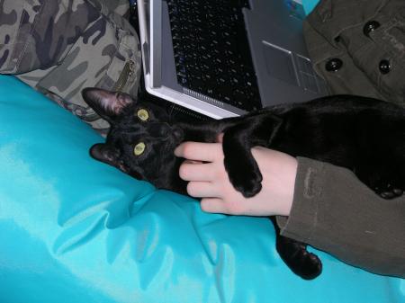 Camille doit gérer Anakin ... et son pc portable !!!!