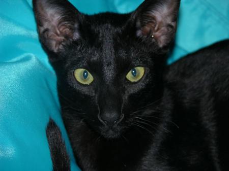 Quel regard !!!!!!!!!!!!!!!!