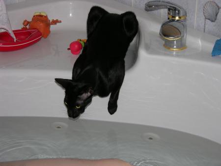 Tout ce que j'aime dans la vie, c'est être avec toi... même si c'est dans l'eau !! C'est terrible ce que ça me tente de sauter !!!