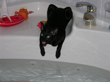 Toute eau est bonne à boire... même celle du bain !!!