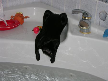 C'est super intéressant cette eau qui coule !!!!