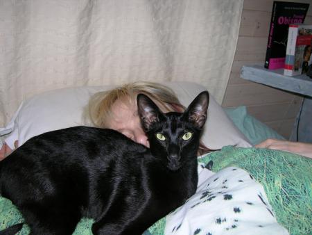 Anakin, protecteur de mes nuits....