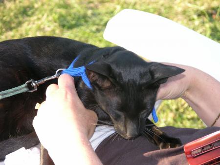 Petit calin avec Nathou sur la chaise longue