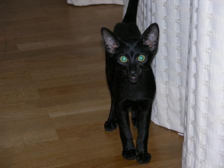 1ère photo d'Anakin