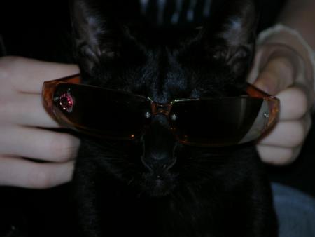 Je suis ici incognito ...