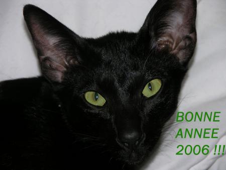Nous vous souhaitons une Bonne Année 2006 !!!!!