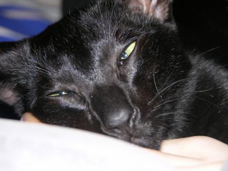 Anakin a trop bu !!!